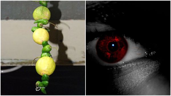 നിങ്ങൾക്കായാലും വീടിനായാലും കണ്ണേറ് കൊണ്ടാൽ ഉടനടി പരിഹാരം ചെയ്യണം; ദൃഷ്ടി ദോഷം അകറ്റാം ഇങ്ങനെ