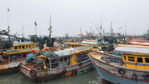 ട്രോളിം​ഗ് നിരോധനം തീരാൻ ഇനി രണ്ട് ദിവസം; ഈ ഹാർബറിൽ ചെന്നാൽ കുറഞ്ഞ വിലയ്ക്ക് മീൻ വാങ്ങാം