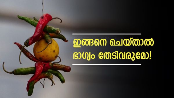 ദേഹത്ത് പക്ഷി കാഷ്ഠിച്ചിട്ടുണ്ടോ, വെള്ള ചിത്രശലഭത്തെ കണ്ടിട്ടുണ്ടോ? ഇത് നിമിത്തങ്ങളാണ്; ജീവിതം മാറിമറിയും