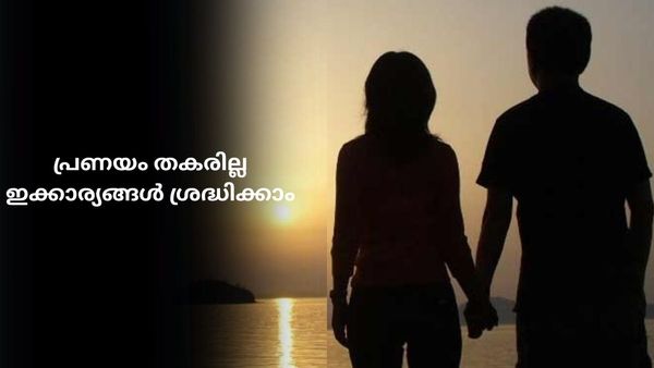 എന്നും അടിയും വഴക്കുമാണോ? പ്രണയ ബന്ധം തകരാതിരിക്കാൻ ഈ 5 കാര്യങ്ങൾ ശ്രദ്ധിക്കാം