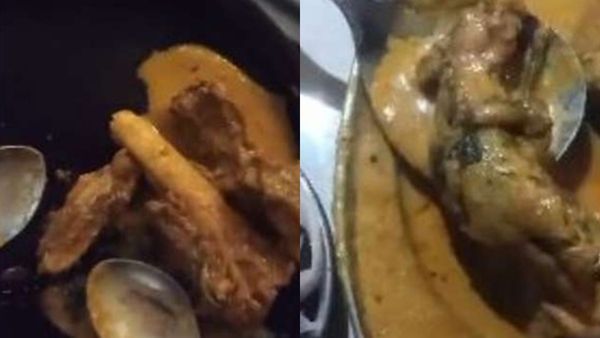  കൊതിയൂറും മലായി മട്ടനില്‍ ചത്ത എലി; ഞെട്ടിത്തരിച്ച് കഴിക്കാനെത്തിയവര്‍, പിന്നാലെ സംഭവിച്ചത്