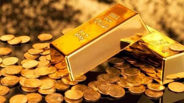 ഡിജിറ്റല്‍ ഗോള്‍ഡാണ് ഇപ്പോള്‍ പൊളി; കോടീശ്വരനാകാം, ഇത് മാത്രം ചെയ്താല്‍ മതി