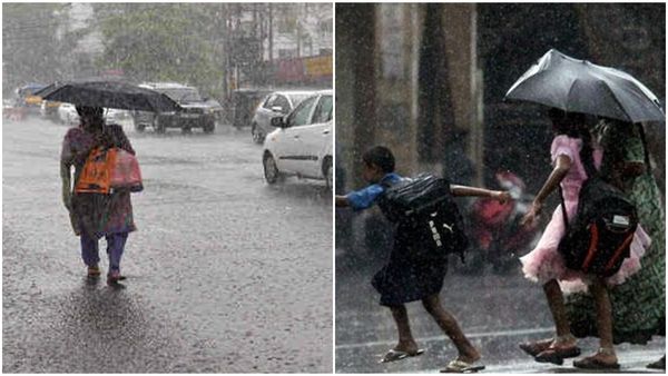 കനത്ത മഴ തുടരുന്നു; നാളെയും സ്‌കൂളുകള്‍ക്ക് അവധി, കളക്ടര്‍ മുത്താണ് എന്ന് കമന്റുകള്‍