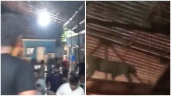 Video: സീരിയൽ സെറ്റിൽ പുലിയിറങ്ങി; നിലവിളിച്ചോടി താരങ്ങൾ; വീഡിയോ വൈറൽ