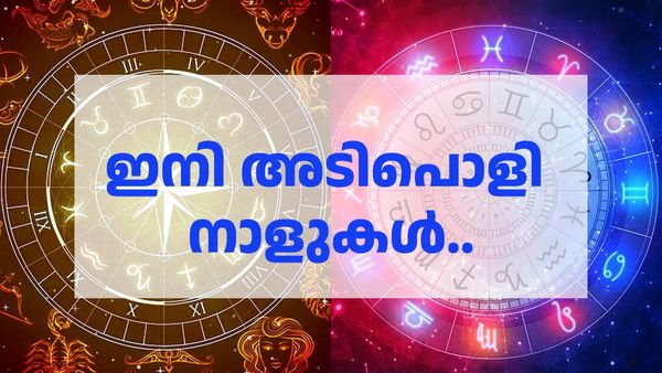 ആഡംബരങ്ങള്‍ക്ക് പണം വാരിവിതറും; ദാമ്പത്യ ജീവിതത്തില്‍ പുതിയ സന്തോഷം; ഈ രാശിക്കാരാണോ