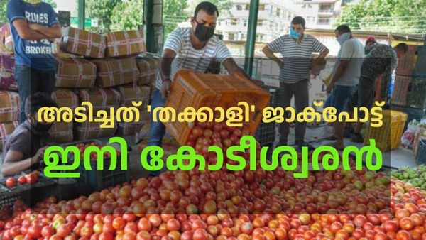 ബംബര്‍ അടിച്ച സന്തോഷത്തില്‍ കര്‍ഷകര്‍; തക്കാളി വിറ്റ് ഒരുമാസം കൊണ്ട് കോടീശ്വരനായി, അമ്പരപ്പ്