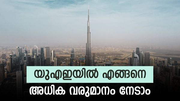 യുഎഇയില്‍ ഒരു അധിക വരുമാനമാണോ നിങ്ങള്‍ ലക്ഷ്യമിടുന്നത്: എങ്കില്‍ അവസരം ഇഷ്ടം പോലെയുണ്ട്