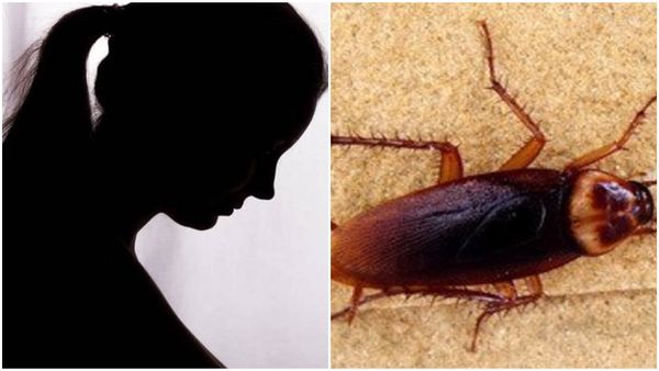 പാറ്റ കാരണം ജോലി രാജി വെച്ച് യുവതി; സംഭവിച്ചത് ഇങ്ങനെ, അനുഭവം തുറന്നുപറഞ്ഞ് വീഡിയോ