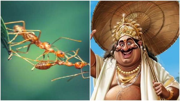 ഓണത്തിന് ഇടയ്ക്ക് ഉറുമ്പുകൾക്ക് എന്താണ് കാര്യം? അറിയാം ഉറുമ്പൂട്ടിനെക്കുറിച്ച്