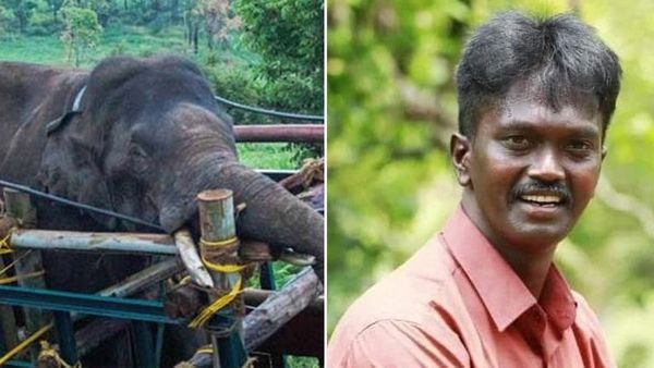 'അരിക്കൊമ്പന്‍ ഗണപതി ഭഗവാന്റെ പ്രതിരൂപം'; തിരികെയെത്തിക്കാന്‍ ഏതറ്റം വരേയും പോകുമെന്ന് വാവ സുരേഷ്