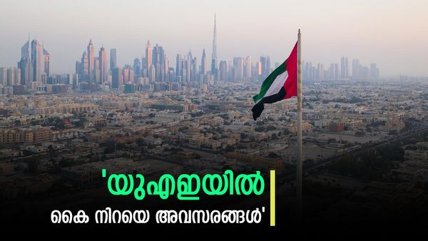 ക്ലർക്ക്, ഡ്രൈവർ, നഴ്സ്.. യുഎഇയിലേക്ക് നിരവധി തൊഴില്‍ അവസരങ്ങള്‍: ഇപ്പോള്‍ തന്നെ അപേക്ഷിക്കാം
