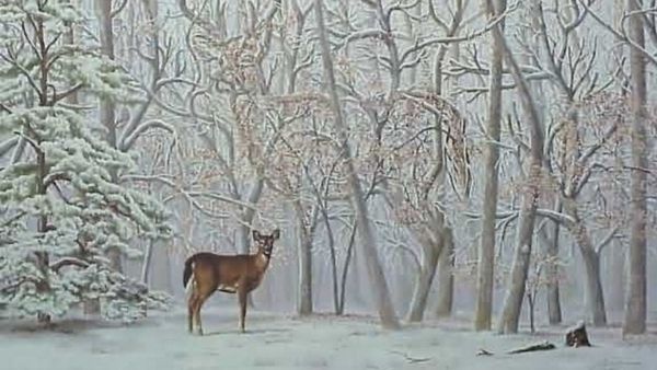 അതാ മഞ്ഞുമൂടിയ ഒരു കാട്, നമുക്ക് തോന്നുന്നതാണോ, അവിടെ എന്തോ ഉണ്ടല്ലോ? കണ്ടെത്തൂ
