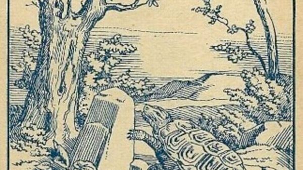 ഒന്ന് ഇങ്ങോട്ട് നോക്കൂ, ഒരു ആമയല്ലേ ആ കാണുന്നത്, മറ്റെന്തെങ്കിലും അവിടെയുണ്ടോ? കണ്ടെത്തൂ