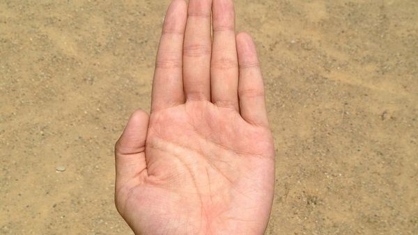 നിങ്ങളുടെ കൈയിലെ രേഖ ഇങ്ങനെയാണോ..? എങ്കില്‍ ഉടന്‍ കോടീശ്വരനാകാം