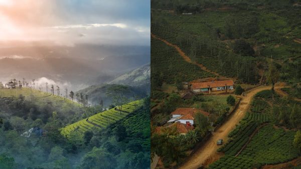 കാറ്റും മലമൂടും മഞ്ഞും, വാഗമണ്ണും താണ്ടിയൊരു ഇടുക്കി യാത്ര; ചിലവ് കുറഞ്ഞ പാക്കേജുമായി കെഎസ്ആർടിസി