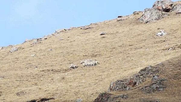 ആ കാണുന്നത് ഒരു മലനിരയല്ലേ, ശരിക്കുമൊന്ന് നോക്കൂ, അതോ മറ്റെന്തോ ആണോ? കണ്ടുപിടിക്കൂ