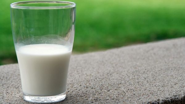 ഈ ഭക്ഷണങ്ങള്‍ പാലിനൊപ്പം കഴിക്കല്ലേ..!! മുട്ടന്‍ പണികിട്ടും, ഇക്കാര്യം അറിയാമോ?