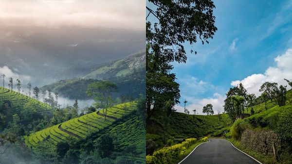 ഓണം ഇത്തവണ തകർക്കും..മൂന്നാർ മുതൽ വയനാട് വരെ ഒരു കിടിലൻ ട്രിപ്പ്, ചെലവ് കുറഞ്ഞ പാക്കേജ്