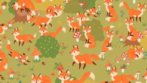 ഒന്ന് ഇവിടേക്ക് നോക്കൂ, നമ്മള്‍ കാണാത്ത എന്തെങ്കില്‍ ഈ ചിത്രത്തിലുണ്ടോ? കണ്ടെത്തൂ