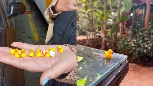 അതിഥികളോട് 5 വയസ്സുകാരന്റെ പ്രാങ്ക്, പോക്കറ്റ് തപ്പിയവര്‍ അന്തംവിട്ടു, ദമ്പതിമാര്‍ക്കും പണികിട്ടി