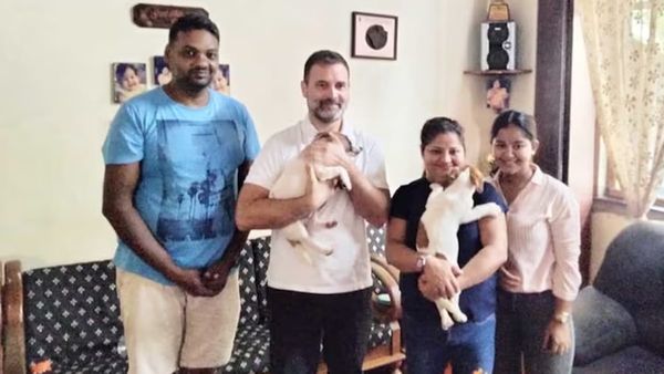 ​ഗോവയിലെത്തിയ രാഹുൽ ​ഗാന്ധി രണ്ട് നായക്കുട്ടികളെ വാങ്ങി.. ഒന്നിനെ കൂടെ കൊണ്ടുപോയി.. 