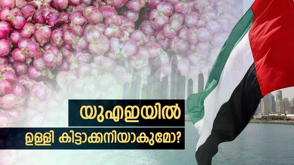 ഇന്ത്യയുടെ നടപടി യുഎഇ എങ്ങനെ നേരിടും? ഉള്ളി വില കുത്തനെ മുകളിലേക്കോ? പ്രവാസികള്‍ അറിയാന്‍