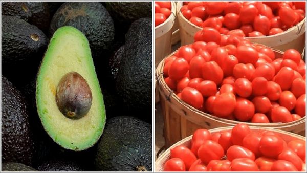 'തക്കാളി ചട്‌നിക്ക് പകരം അവക്കാഡോ ടോസ്റ്റ്'; ട്വിറ്ററില്‍ ട്രെന്‍ഡിംഗായി പുതിയ ഐഡിയ