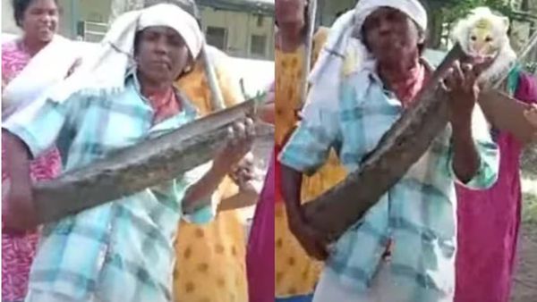 'ഇന്നീ തീരം തേടും തിരയുടെ പാട്ടിൽ'; മടലിന്റെ ​ഗിത്താറുമായി  തൊഴിലുറപ്പ് തൊഴിലാളിയുടെ ഡാൻസ്.. വൈറൽ
