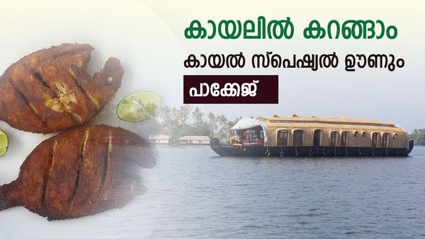 കായലിന്റെ ഭംഗി ആസ്വദിച്ചൊരു കിടിലൻ യാത്ര, ഉച്ചയ്ക്ക് വയറ് നിറയെ കായൽ സ്പെഷ്യൽ ഊണ‍്..സാഹസിക വിനോദങ്ങൾ വേറേയും