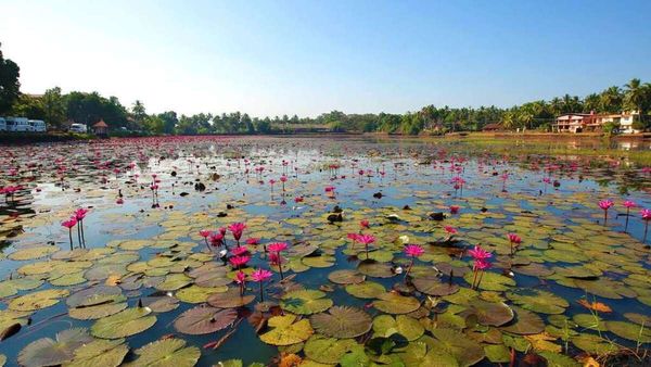 ചിറക്കല്‍ ചിറ സൗന്ദര്യവല്‍ക്കരണത്തിന് 50 ലക്ഷം രൂപ സര്‍ക്കാര്‍ അനുവദിച്ചു