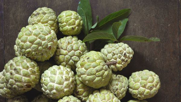 ഇത്രയും നല്ലതായിരുന്നോ സീതപ്പഴം? ആരോഗ്യഗുണങ്ങള്‍ കേട്ടോ, ഇനി വാങ്ങാന്‍ മടിക്കല്ലേ..