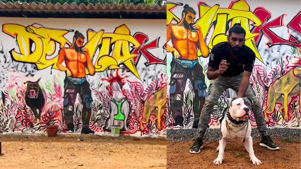 നാട്ടുകാരെ വിരട്ടി, രക്ഷയൊരുക്കാന്‍ അപകടകാരികളായ നായ്ക്കള്‍; അടിമുടി നിഗൂഢമായ ഡെല്‍റ്റ കെ9