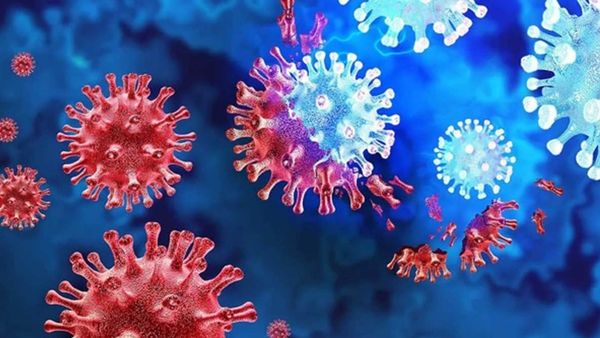 'കൊവിഡിനേക്കാൾ വലിയ ദുരന്തമാകും, മരണ സംഖ്യയും ഉയരും', ഡിസീസ് എക്സിനെ കുറിച്ച് ആരോഗ്യവിദഗ്ധ