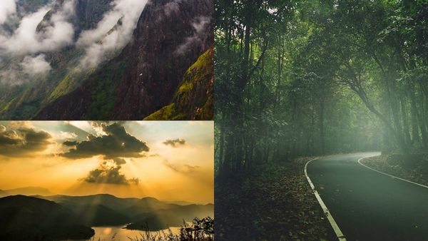ഗവി വഴി കുമളി കമ്പം കറങ്ങാം, പൈതൽ മലയും വയനാടും കയറാം;  പ്രത്യേക പാക്കേജ്