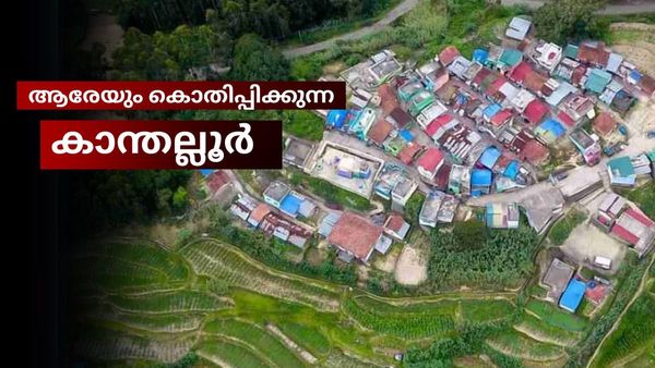  കോടമഞ്ഞ്.. ആപ്പിളും ഓറഞ്ചും വിളയുന്ന നാട്, വെള്ളച്ചാട്ടങ്ങളും ഗുഹ ക്ഷേത്രങ്ങളും; കാന്തല്ലൂർ വേറെ ലെവലാണ്