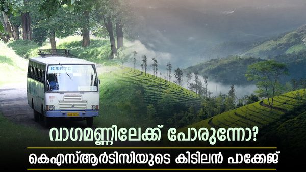  കോടമഞ്ഞിൽ മൂടി നിൽക്കുന്ന വാഗമൺ, ജീപ്പ് സഫാരി, ഡിജെയും ക്യാമ്പ് ഫയറും; പിന്നെന്ത് വേണം?