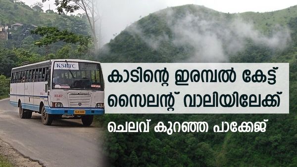 കോട മഞ്ഞ് മൂടിയ സൈലന്‍റ് വാലി കാണാം, ഒപ്പം കാട്ടിലൂടെ ഒരു സഫാരിയും; ചെലവ് വെറും 1400 രൂപ