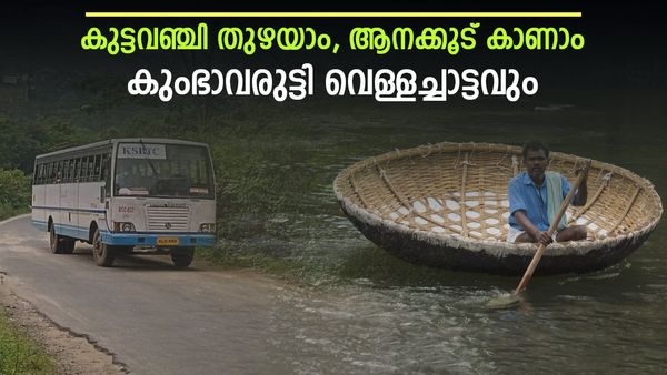 കല്ലാറിന്റെ കുളിരിൽ കുട്ടവഞ്ചി തുഴയാം, ആനക്കൂട് കാണാം, കുംഭാവരുട്ടി വെള്ളച്ചാട്ടവും