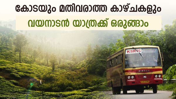  മതിവരാത്ത വയനാടൻ കാഴ്ചകളിലേക്ക്; ഒറ്റ ദിവസം കൊണ്ട് 5 ഇടങ്ങൾ കാണാം, കുറഞ്ഞ ചെലവിൽ
