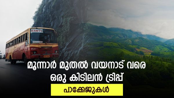  മൂന്നാർ,വാഗമൺ, വയനാട് ,നെല്ലിയാമ്പതി..; ആനവണ്ടിയിലെ യാത്രകൾ അവസാനിക്കുന്നേയില്ല..പ്രത്യേക പാക്കേജുകൾ