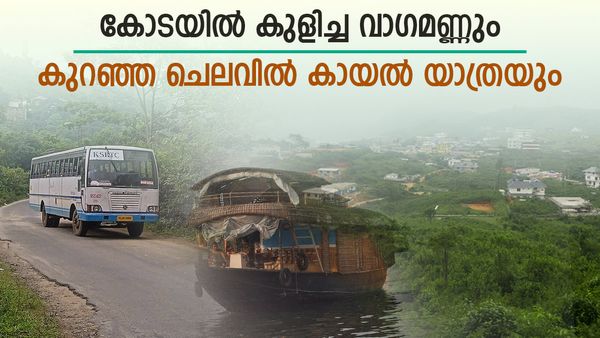  വാഗമണ്ണിലെ കോടയിൽ പൈൻ കാട് കണ്ട് ആലപ്പുഴയിലൊരു ഹൗസ് ബോട്ട് സവാരിയും;ചെലവ് കുറഞ്ഞ പാക്കേജ്