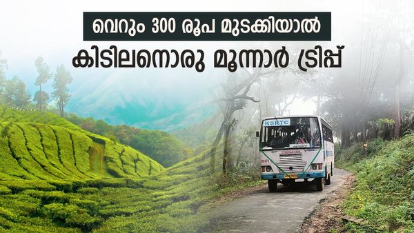 മൂന്നാറിലെ മഞ്ഞ് വീഴുന്ന മലയിടുക്കും തേയിലക്കാടുകളുമൊക്കെ കാണാം; ഒറ്റ ദിവസം 9 സ്ഥലങ്ങൾ; പാക്കേജ് ഇതാ