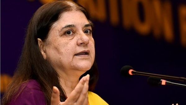 അവശരായ നായ്ക്കളെ സംരക്ഷിക്കണം;അരൂർ പോലീസ് സ്റ്റേഷനിലേക്ക് മേനക ​ഗാന്ധിയുടെ ഫോൺകോൾ