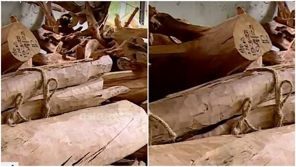 മറയൂർ ചന്ദന ലേലത്തിൽ 37.22 കോടി രൂപയുടെ വിൽപ്പന; പങ്കെടുത്തത് 9 സ്ഥാപനങ്ങൾ