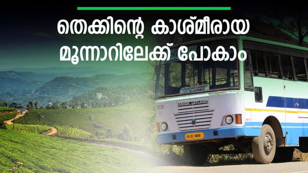  മഞ്ഞണിഞ്ഞ തേയിലത്തോട്ടങ്ങൾ കടന്ന് മൂന്നാറിലെ കാഴ്ചചകളിലേക്ക്; ഒറ്റ ദിവസം 6 സ്ഥലങ്ങൾ കാണാൻ പാക്കേജ്