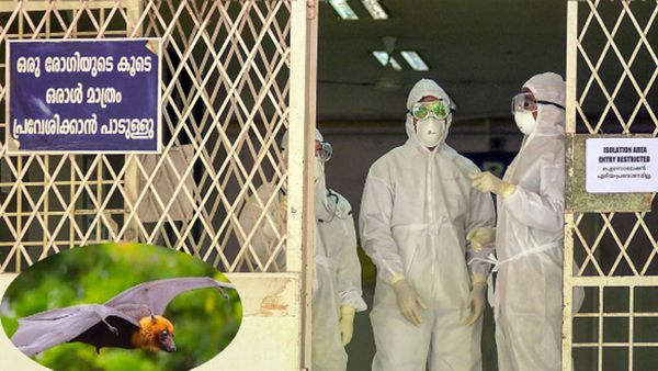കേരളത്തില്‍ നിപ സ്ഥിരീകരിക്കുന്നത് ഇത് നാലാം തവണ, മരണം 20; അറിയാം നാള്‍വഴികള്‍