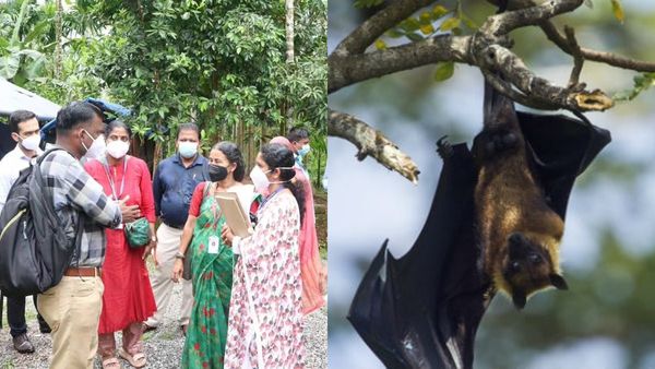 നിപ വൈറസിന്റെ ഉറവിടം കണ്ടെത്താൻ കേന്ദ്രസംഘം; മരിച്ചയാളുടെ വീടും പരിസരവും സന്ദർശിച്ചു