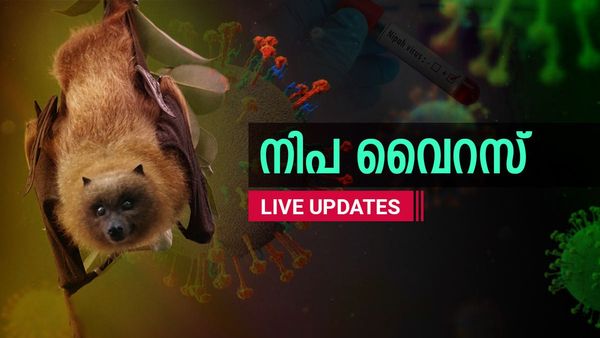 നിപ വൈറസ്: വീണ്ടും ആശ്വാസം, ഇന്നലെ പരിശോധിച്ച എല്ലാ സാംപിളുകളും നെഗറ്റീവ്‌