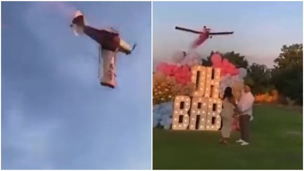 Video: ആകാശത്ത് പിങ്ക്  നിറം വിതറുന്നതിനിടെ അതിഥികൾക്ക് മുന്നിൽ തകർന്നുവീണ് വിമാനം