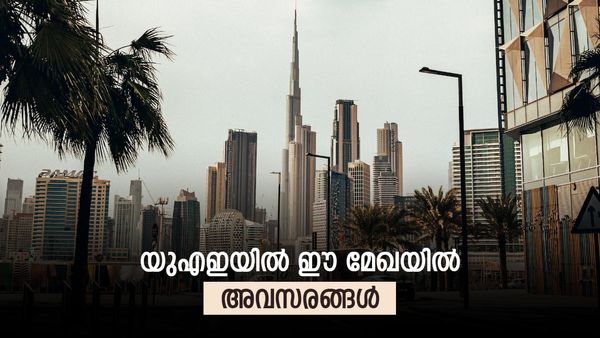 യുഎഇയിൽ 1000ത്തോളം തൊഴിൽ അവസരങ്ങൾ; ഏറ്റവും കൂടുതൽ പേരെ ആവശ്യം ഈ മേഖലയിലേക്ക്